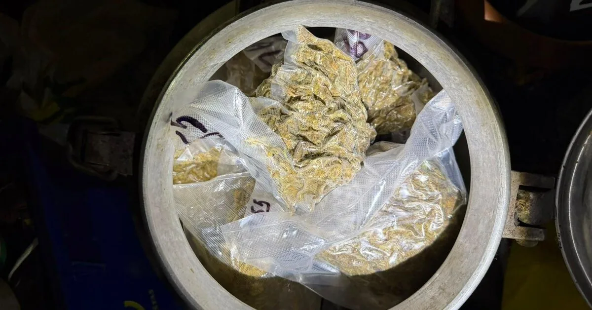 In Telšiai district, a suspected cannabis cultivation laboratory was discovered