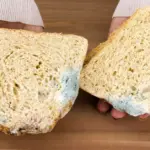 Noticed mold on the bread? The doctor explained whether it is still safe to eat it
