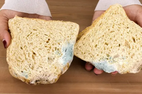 Noticed mold on the bread? The doctor explained whether it is still safe to eat it