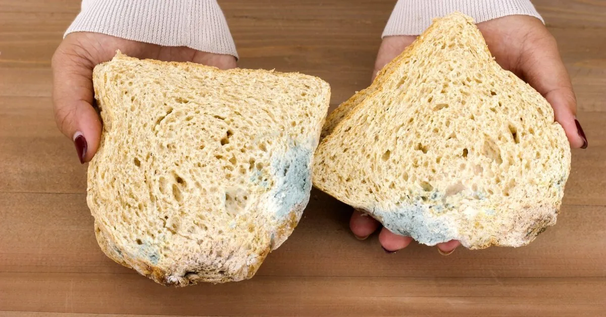 Noticed mold on the bread? The doctor explained whether it is still safe to eat it