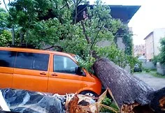 Audros padariniai Žemutinės Silezijos regione