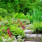 Ticks are attracted like a magnet: which plant has no place in your plot