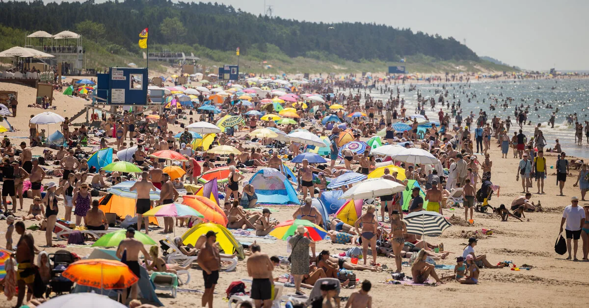 From heat strokes to tick-borne diseases: climate change is changing life in Lithuania