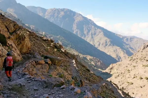Like in a horror movie: women who set out for their dream vacation fell into cruel traps