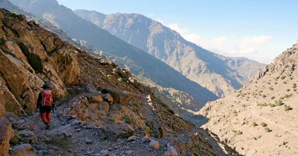 Like in a horror movie: women who set out for their dream vacation fell into cruel traps