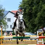 Horse Jumping in Priekulė: the program will attract not only sports fans