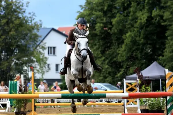 Horse Jumping in Priekulė: the program will attract not only sports fans