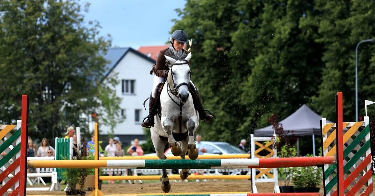 Horse Jumping in Priekulė: the program will attract not only sports fans