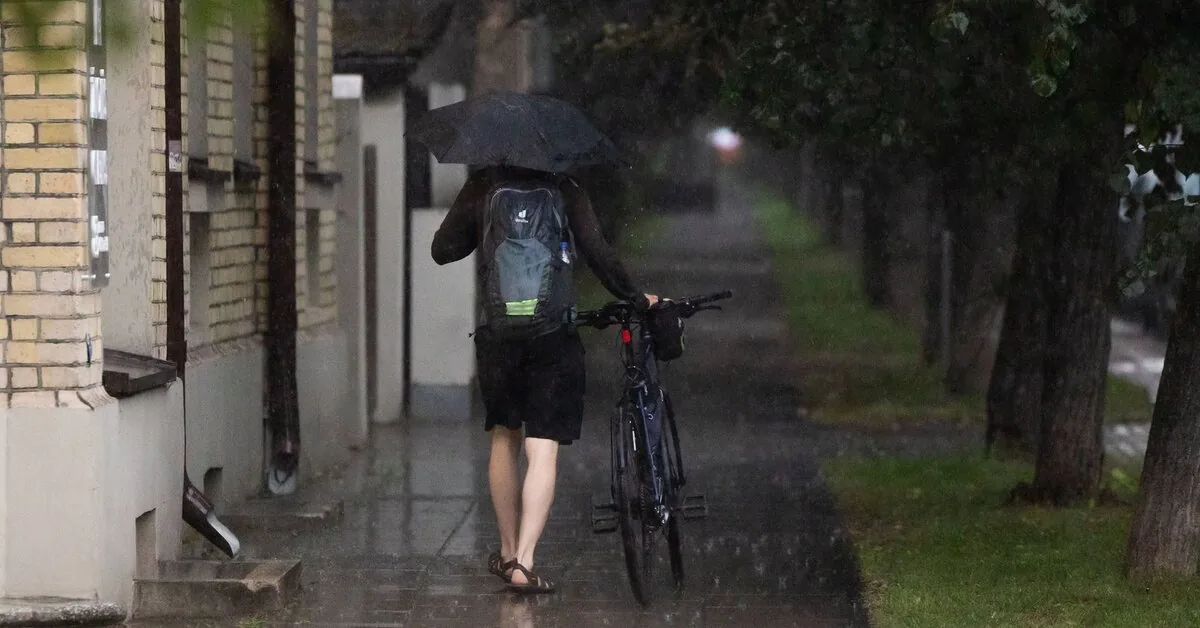 Meteorologists: this July was one of the wettest – where did it rain the most?