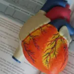 Heart disease prevention program is being updated: what is changing for patients and medical professionals?