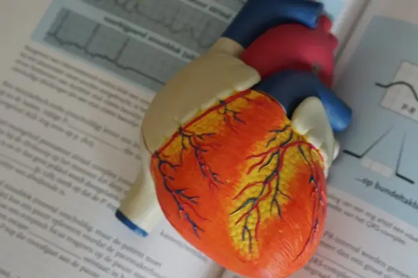 Heart disease prevention program is being updated: what is changing for patients and medical professionals?
