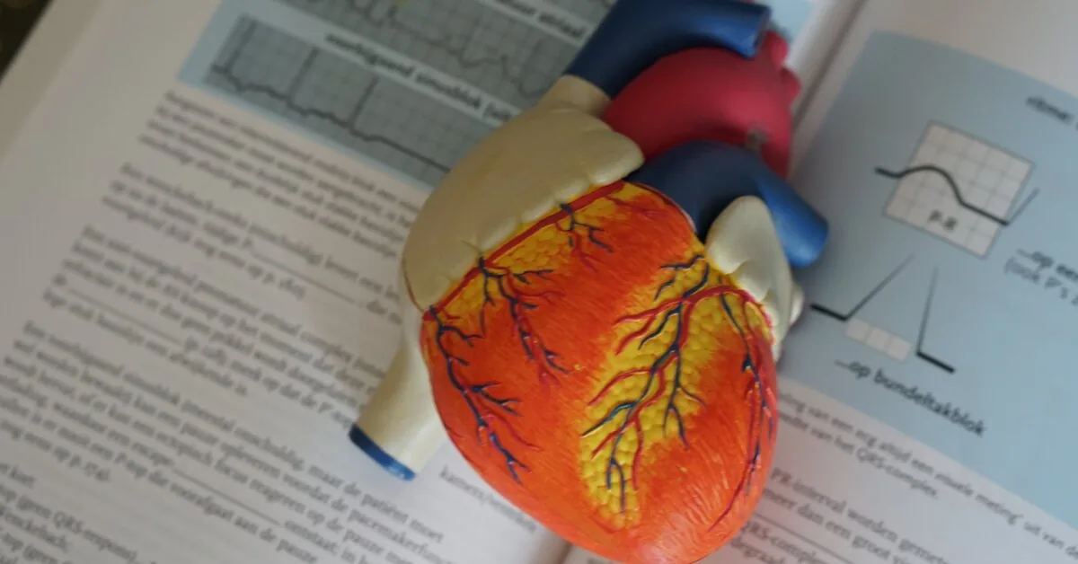 Heart disease prevention program is being updated: what is changing for patients and medical professionals?