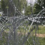 Two illegal migrants turned back at the border with Belarus, 137 foreigners denied entry in Latvia