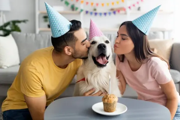 Meat cakes, memory books, a crowd of guests: Lithuanians have started celebrating dogs' birthdays