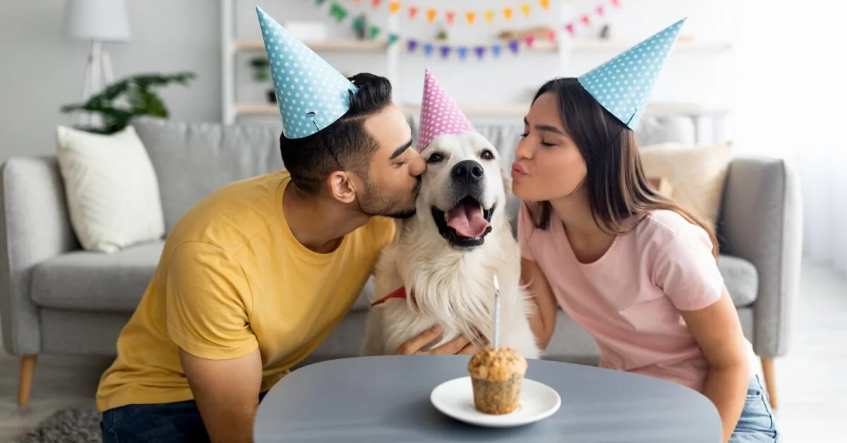Meat cakes, memory books, a crowd of guests: Lithuanians have started celebrating dogs' birthdays