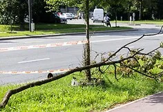 Mirtinos BMW avarijos vieta Žirmūnuose