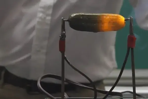 One of the strangest science experiments: why an electrically connected cucumber starts to glow