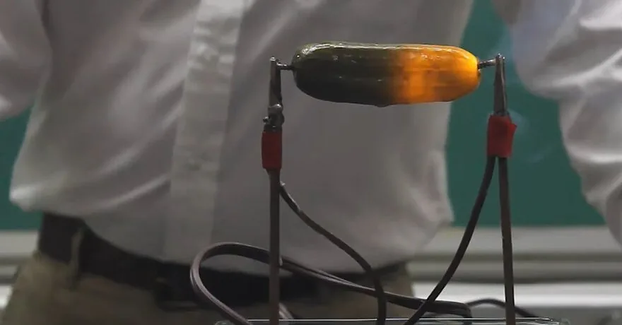 One of the strangest science experiments: why an electrically connected cucumber starts to glow