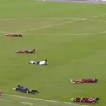 Incident in Brazil: football match was stopped due to a swarm of aggressive hornets