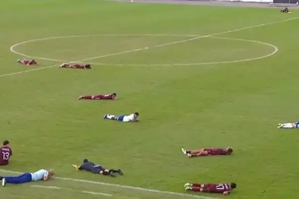 Incident in Brazil: football match was stopped due to a swarm of aggressive hornets