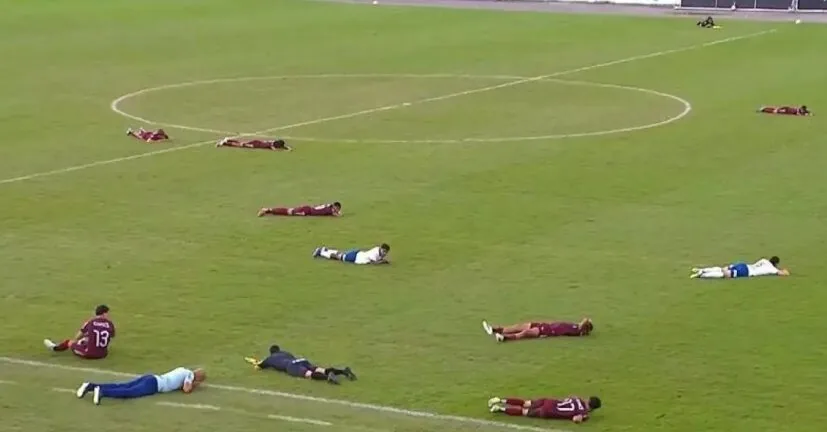 Incident in Brazil: football match was stopped due to a swarm of aggressive hornets