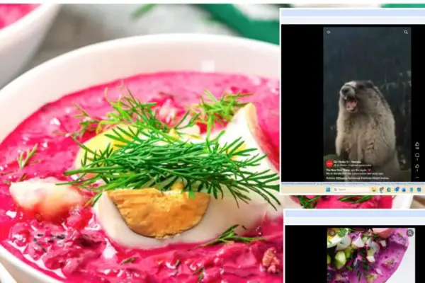 Not the first time: „The New York Times“ has previously attributed cold beet soup to the Poles