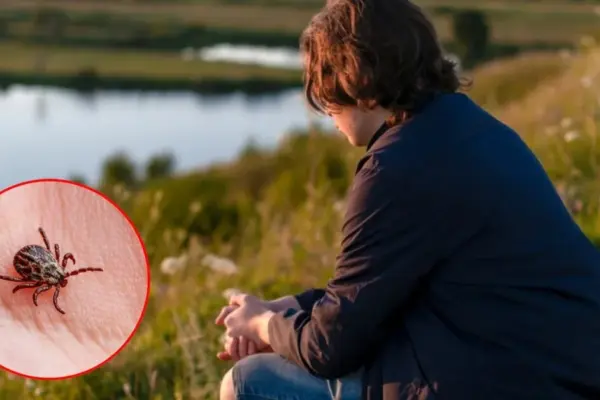 After a tick bite, a teenager developed a fatal reaction – the first case in the world