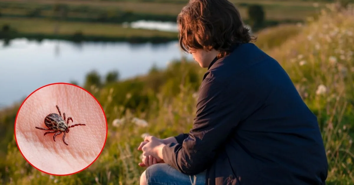 After a tick bite, a teenager developed a fatal reaction – the first case in the world