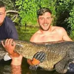 After pulling out a giant catfish, the fishermen were speechless: what they found in its mouth was astounding