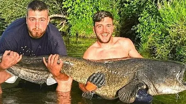 After pulling out a giant catfish, the fishermen were speechless: what they found in its mouth was astounding