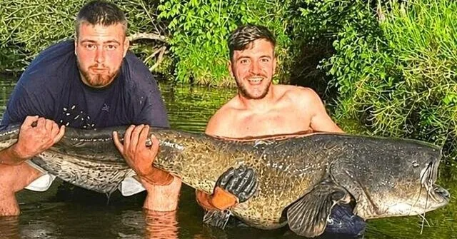 After pulling out a giant catfish, the fishermen were speechless: what they found in its mouth was astounding