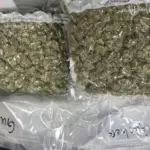 Book, lamp and 2 kg of cannabis: a man sending drugs from Canada was caught by customs officers