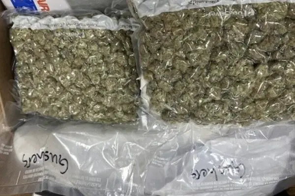 Book, lamp and 2 kg of cannabis: a man sending drugs from Canada was caught by customs officers