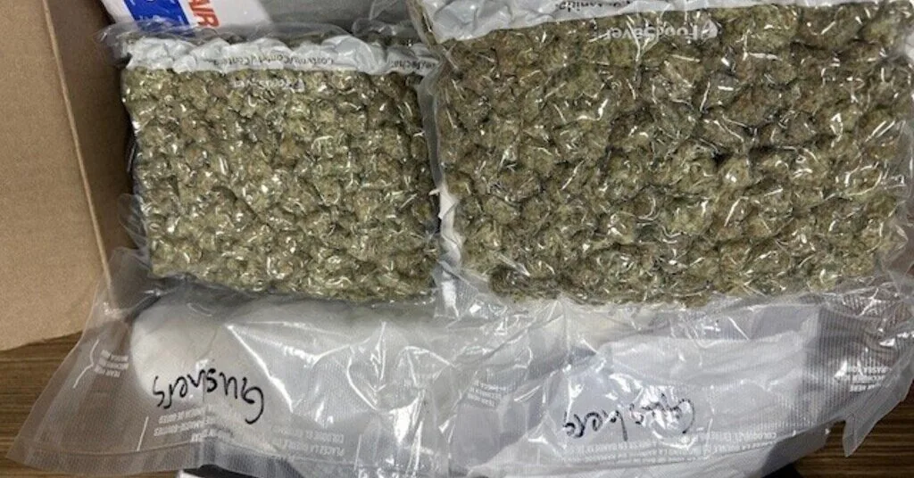 Book, lamp and 2 kg of cannabis: a man sending drugs from Canada was caught by customs officers