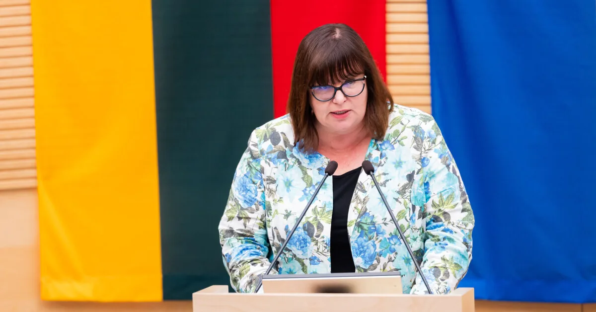 Social Democrats respond to the opposition with their appeal to the Constitutional Court over Ingrida Šimonytė's cabinet program