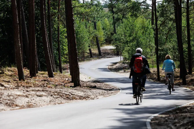 Erikas Ovčarenko / BNS photo/Pedestrian and bicycle path in Curonian Spit