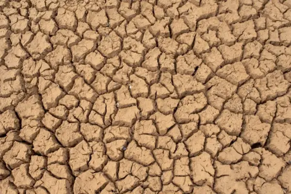 Scientists have determined when 65 °C heat will prevail on Earth and the last plants will disappear