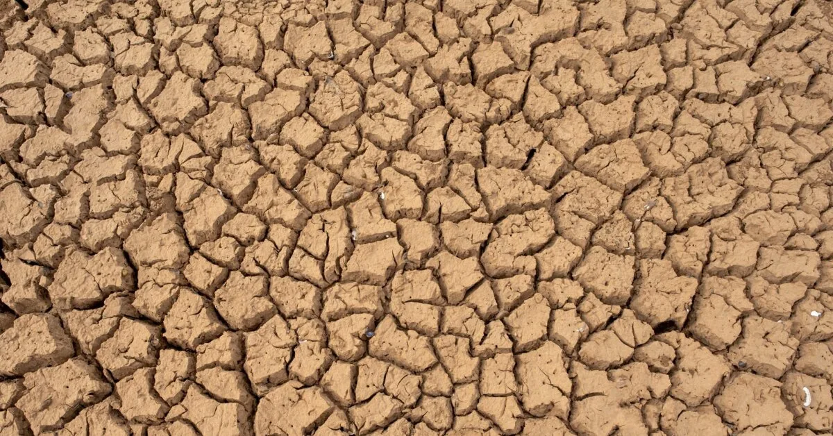 Scientists have determined when 65 °C heat will prevail on Earth and the last plants will disappear