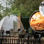 Seaside restaurant you can reach even by plane: why does this place attract vacationers so much?