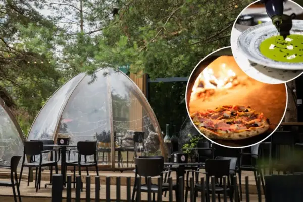 Seaside restaurant you can reach even by plane: why does this place attract vacationers so much?