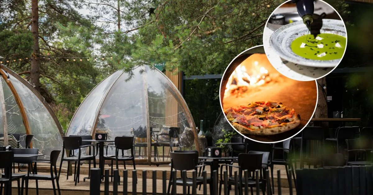 Seaside restaurant you can reach even by plane: why does this place attract vacationers so much?