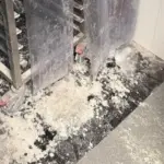 Confectionery company surprised by mold and dirt is operating again: defects removed