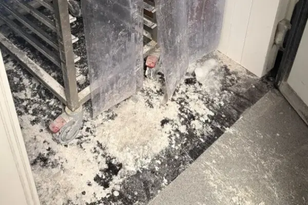 Confectionery company surprised by mold and dirt is operating again: defects removed