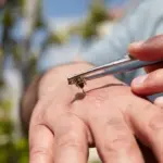 A specialist explained how to safely use bee products and why self-medication can end tragically