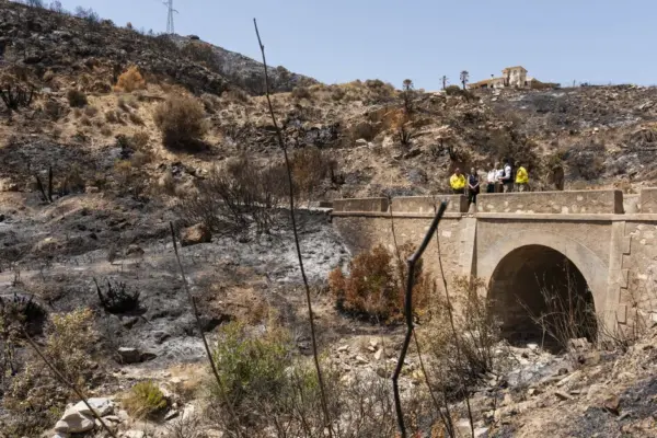 Spain confirmed forest fire victims: among 13 dead – 12 foreigners