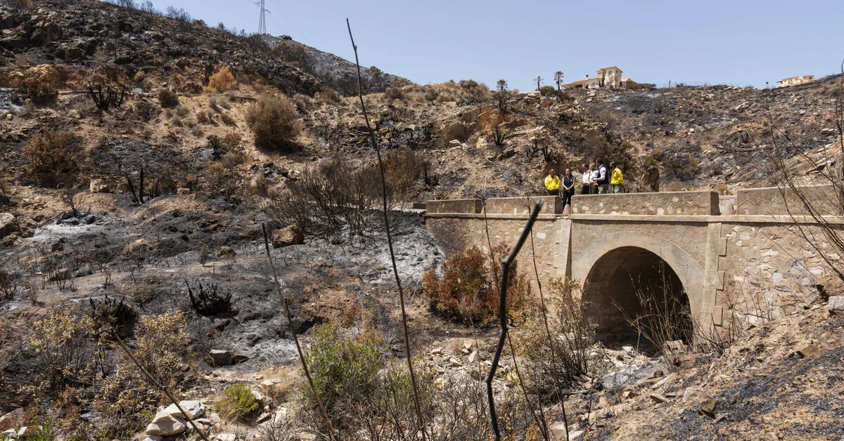 Spain confirmed forest fire victims: among 13 dead – 12 foreigners