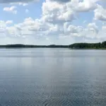 From discarded packaging to microplastic pollution: how waste reaches Lithuanian waters