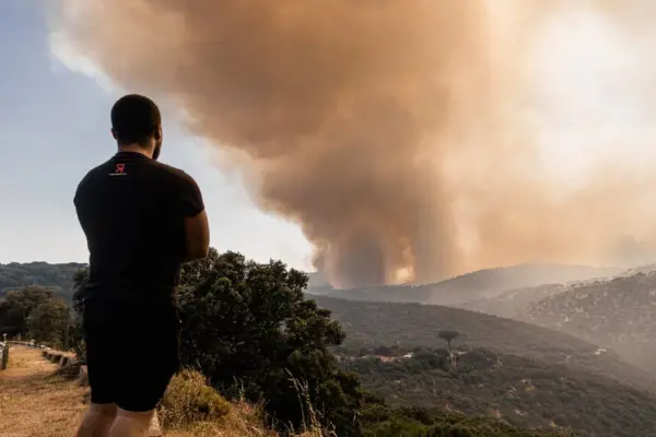 Spain declared a state of emergency in the Madrid region due to forest fires