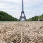 In France, 5.7 thousand more deaths than usual were recorded in June during a heatwave