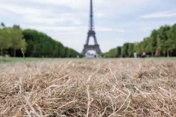In France, 5.7 thousand more deaths than usual were recorded in June during a heatwave